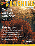 Publication artwork 3
